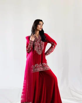 Saira Rizwan Velvet Pret 25 - Shireen-SRVP25-04