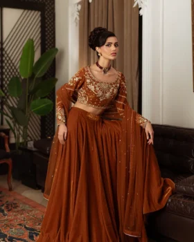 Saira Rizwan Velvet Pret 25 - Amberin-SRVP25-11