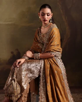 Faiza Saqlain Zaeva Luxury Velvet Edit 25 - Reit