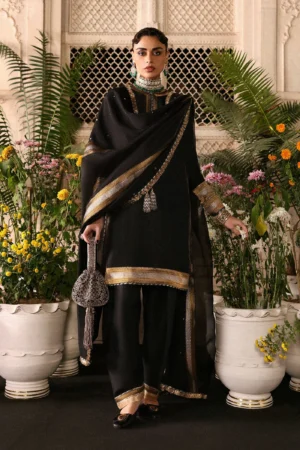 Hussain Rehar Luxury Pret - Noctira