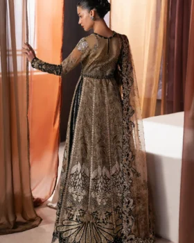 Afrozeh Hayat Wedding Formals 25 - Rayyan