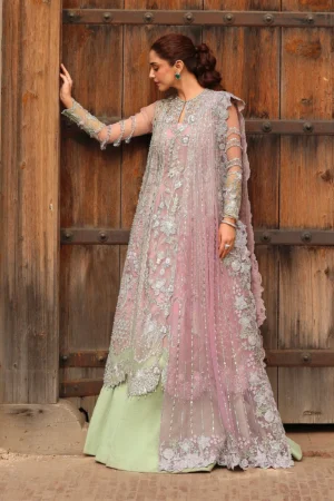 Crimson Wedding Jhilmil - Tilsam