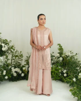 Agha Noor Festive Formals - Safina Beige