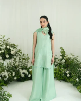 Agha Noor Festive Formals - Gracie