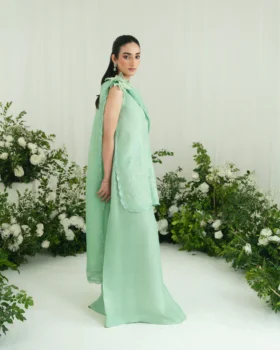 Agha Noor Festive Formals - Gracie