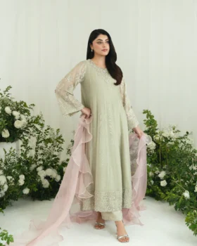 Agha Noor Festive Formals - Aureline