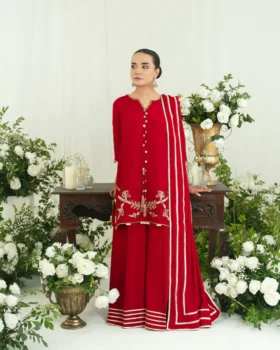 Agha Noor Festive Formals - Fibha Gota