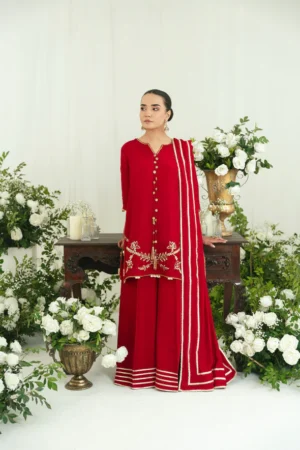 Agha Noor Festive Formals - Fibha Gota