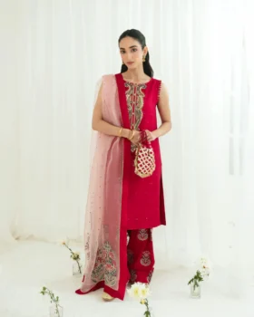 Agha Noor Festive Formals - Gul e Sham