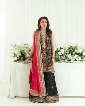 Agha Noor Festive Formals - Gul e Rukh