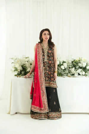 Agha Noor Festive Formals - Gul e Rukh