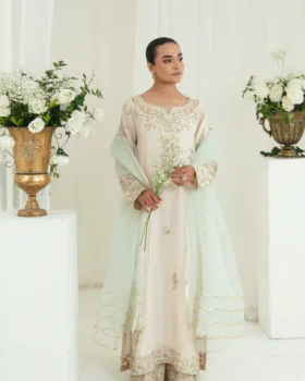 Agha Noor Festive Formals - Sona