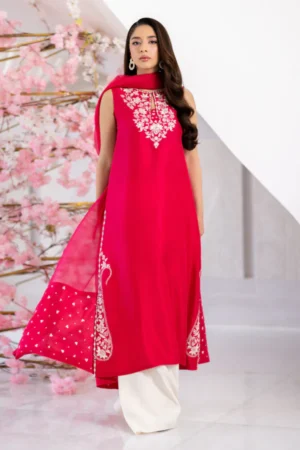 Mina Hasan Eid 26 - Ayra