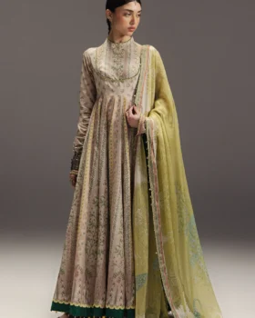 Zara Shahjahan Anarkali 26 - Hoorain-D8