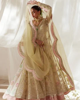 Suffuse Freeshia 26 - Silvia